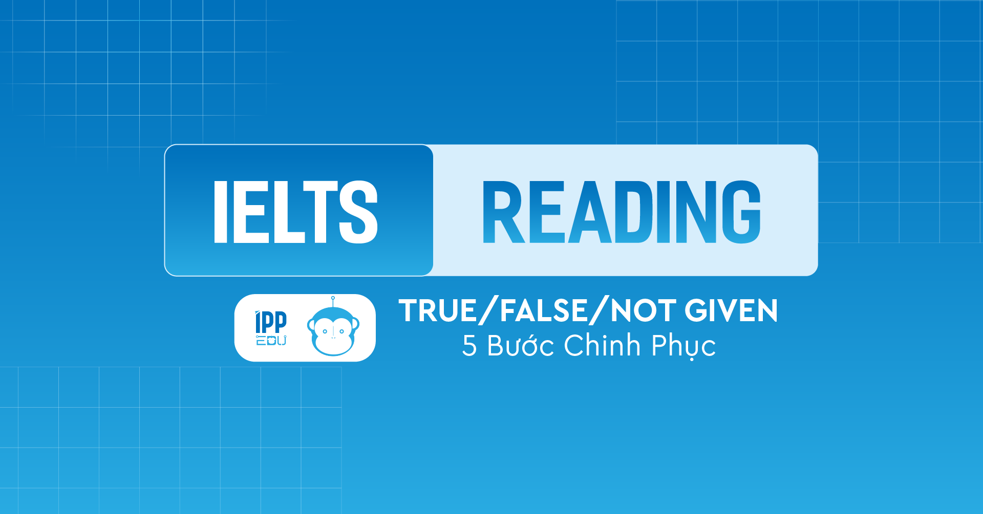 5 bước chinh phục True/False/Not Given trong IELTS Reading